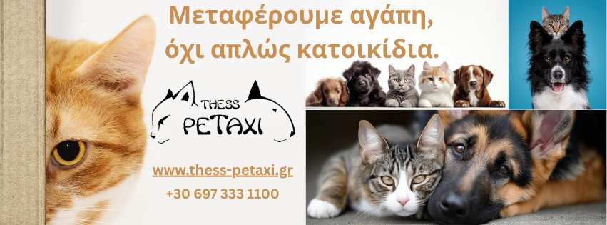 ΣΥΧΝΕΣ ΕΡΩΤΗΣΕΙΣ Οι πιο συχνές ερωτήσεις όταν μεταφέρουμε την αγάπη, όχι απλώς το κατοικίδιο σας.